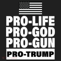 Pro-Life Pro-God Pro-Gun Pro-Trump Hat thumb 2