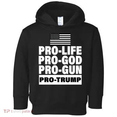 Toddler Hoodie