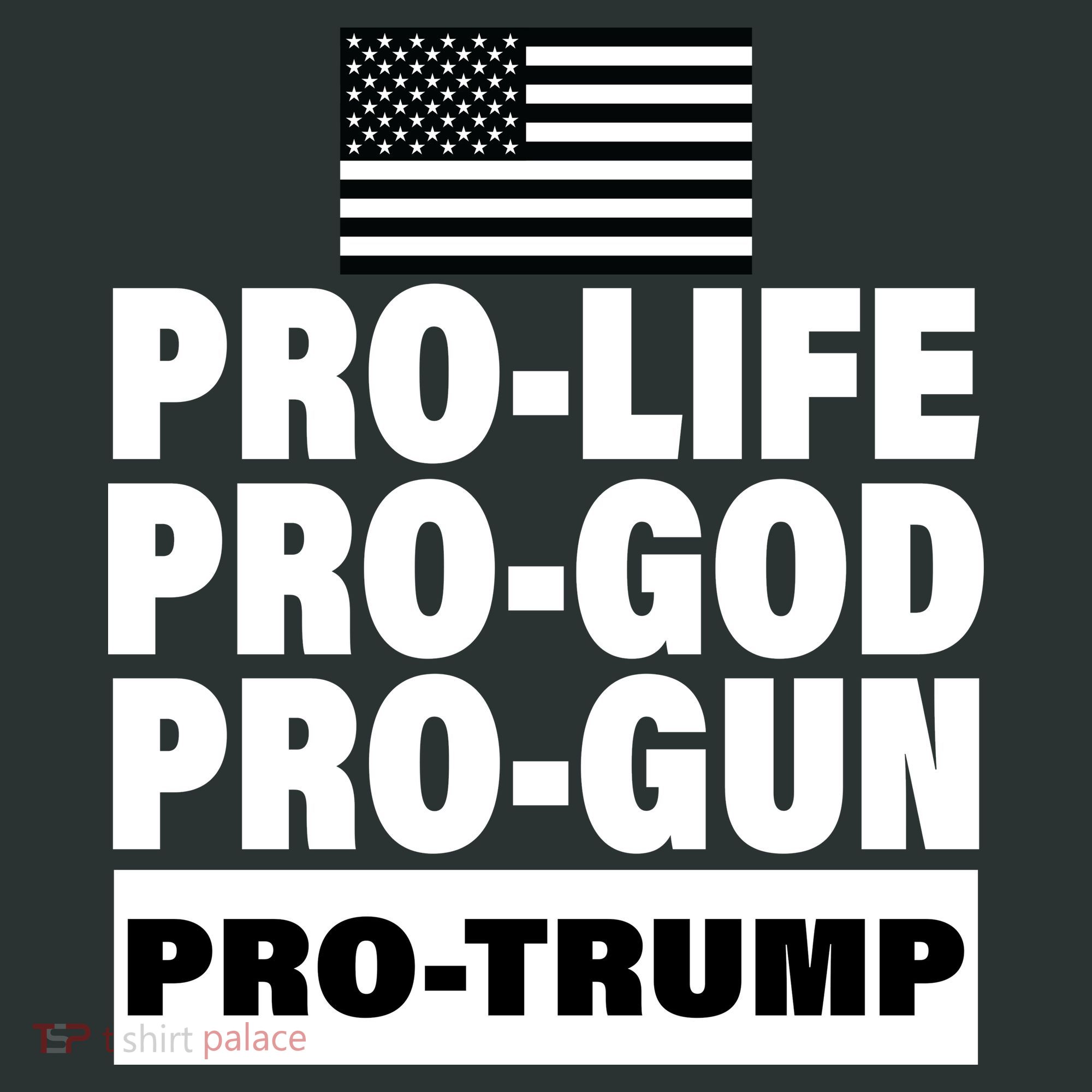 Pro-Life Pro-God Pro-Gun Pro-Trump Coaster