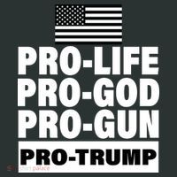 Pro-Life Pro-God Pro-Gun Pro-Trump Mousepad thumb 1