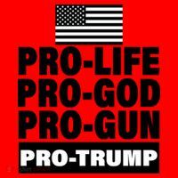 Pro-Life Pro-God Pro-Gun Pro-Trump Santa Hat thumb 1