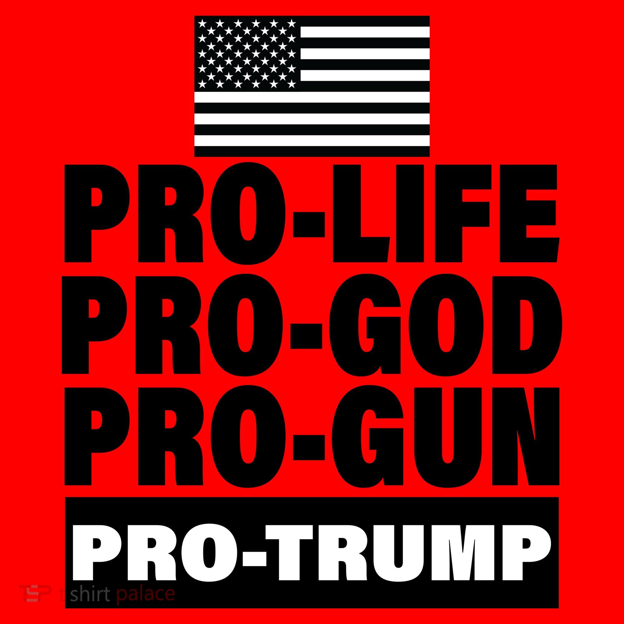 Pro-Life Pro-God Pro-Gun Pro-Trump Santa Hat