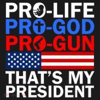 Pro-Life Pro-God Pro-Gun That's My President Visor thumb 3