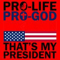 Pro-Life Pro-God Pro-Gun That's My President Santa Hat thumb 1
