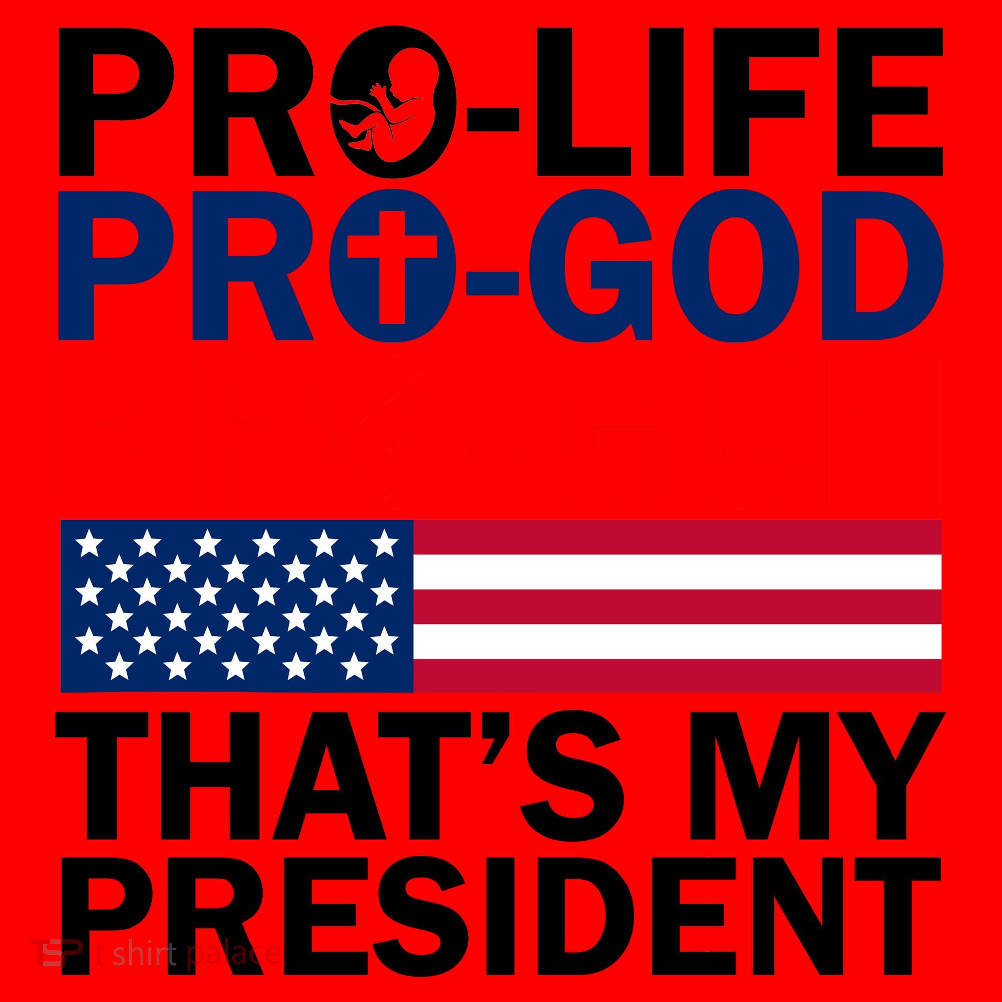 Pro-Life Pro-God Pro-Gun That's My President Santa Hat