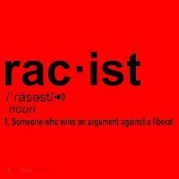 Pro Republican Funny The Liberal Racist Definition Santa Hat thumb 1