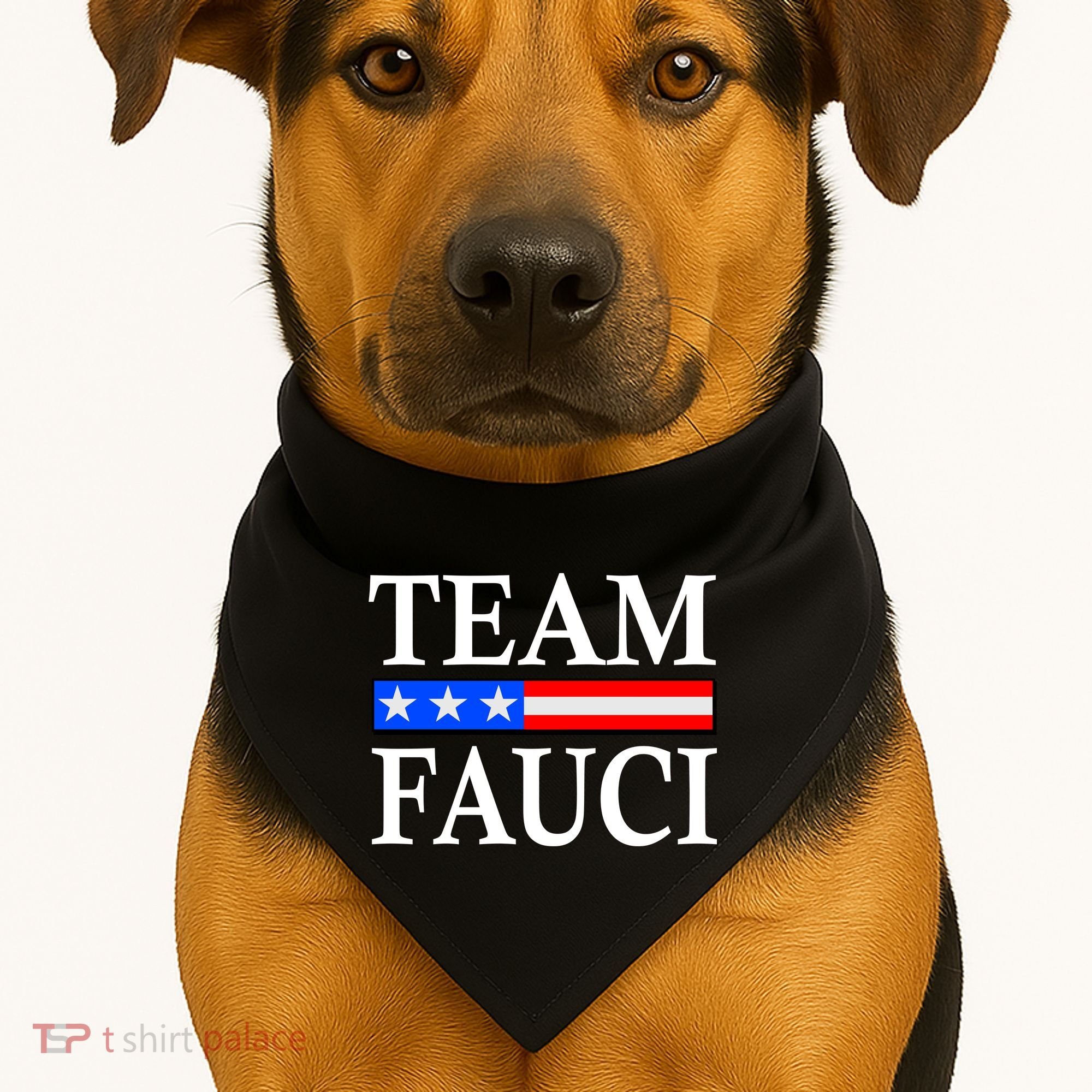 Pro Team Dr Fauci USA Flag USA-Made Doggie Bandana