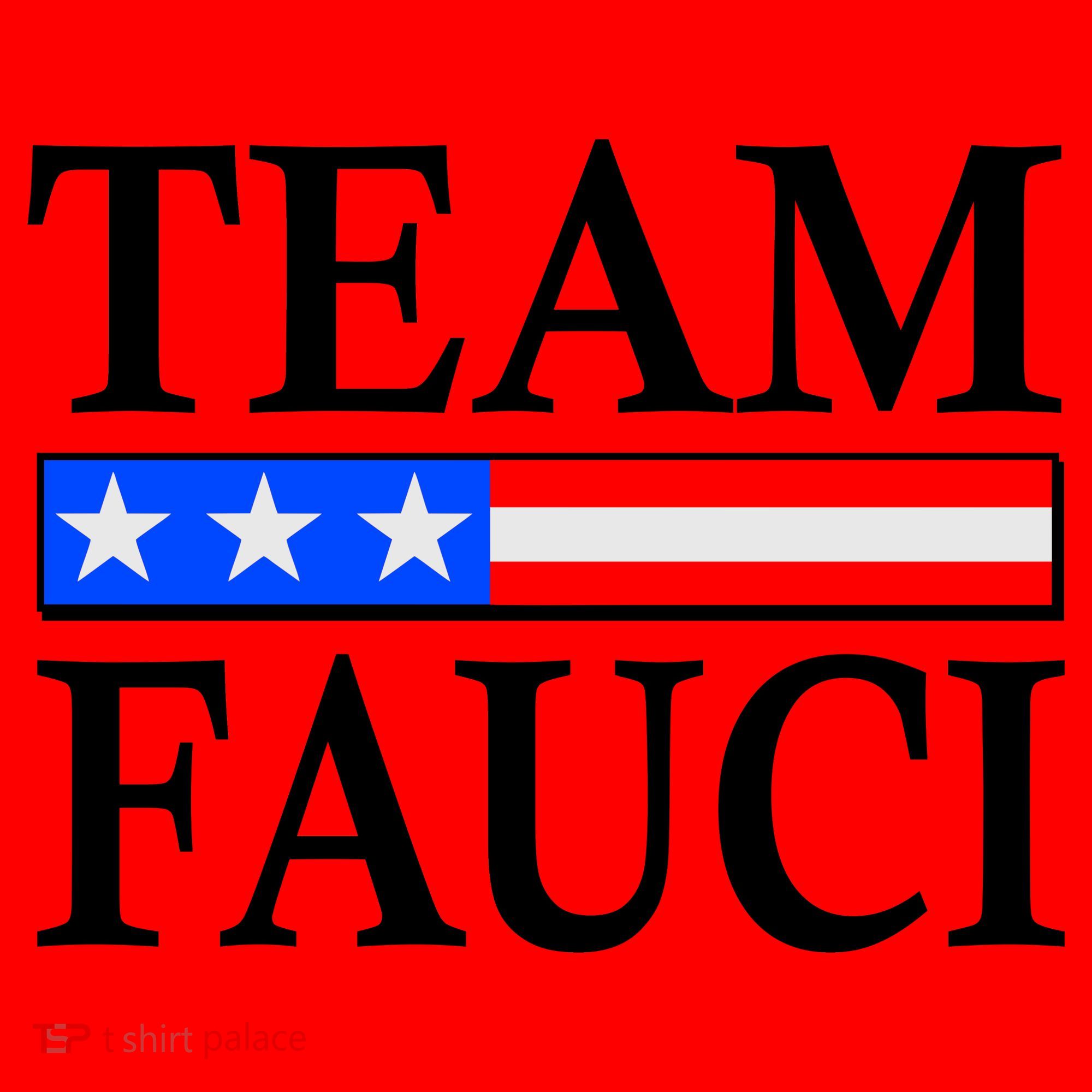 Pro Team Dr Fauci USA Flag Santa Hat