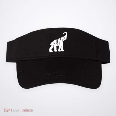 Visor