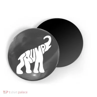 Magnet