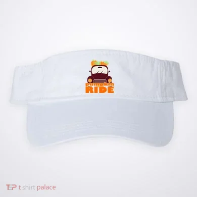 Visor