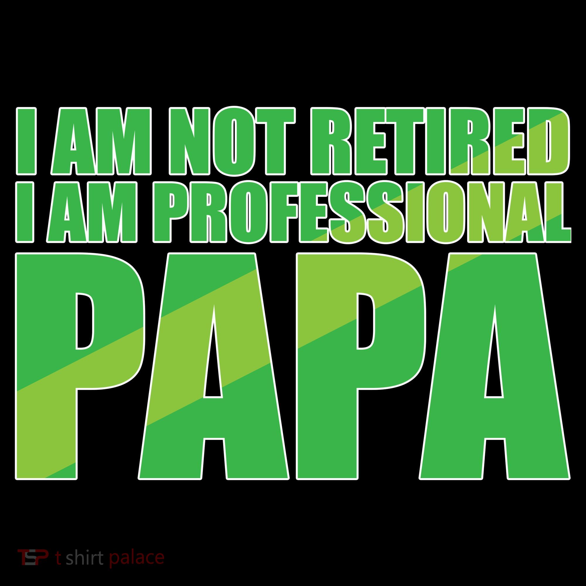 Professional Papa Im Not Retired Pajama Set