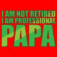 Professional Papa Im Not Retired Santa Hat thumb 1
