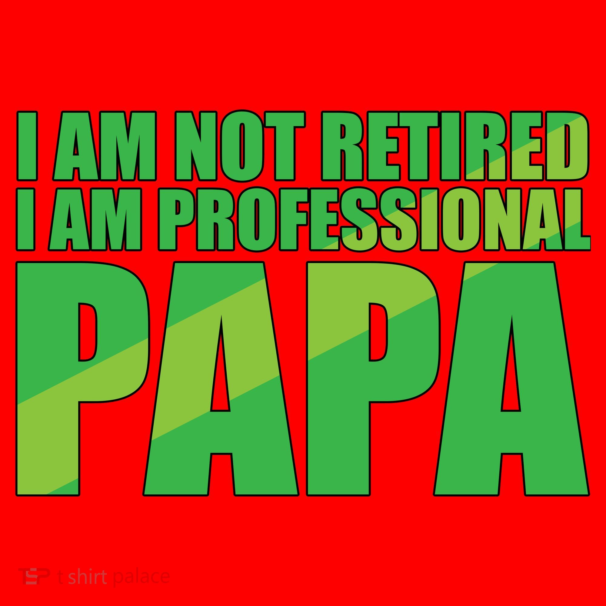 Professional Papa Im Not Retired Santa Hat