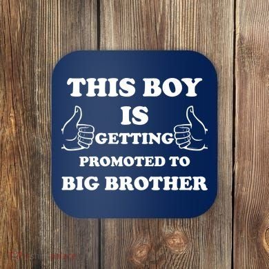 Promoted To Big Brother Coaster
