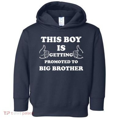 Promoted To Big Brother Toddler Hoodie