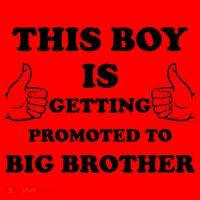 Promoted To Big Brother Santa Hat thumb 1