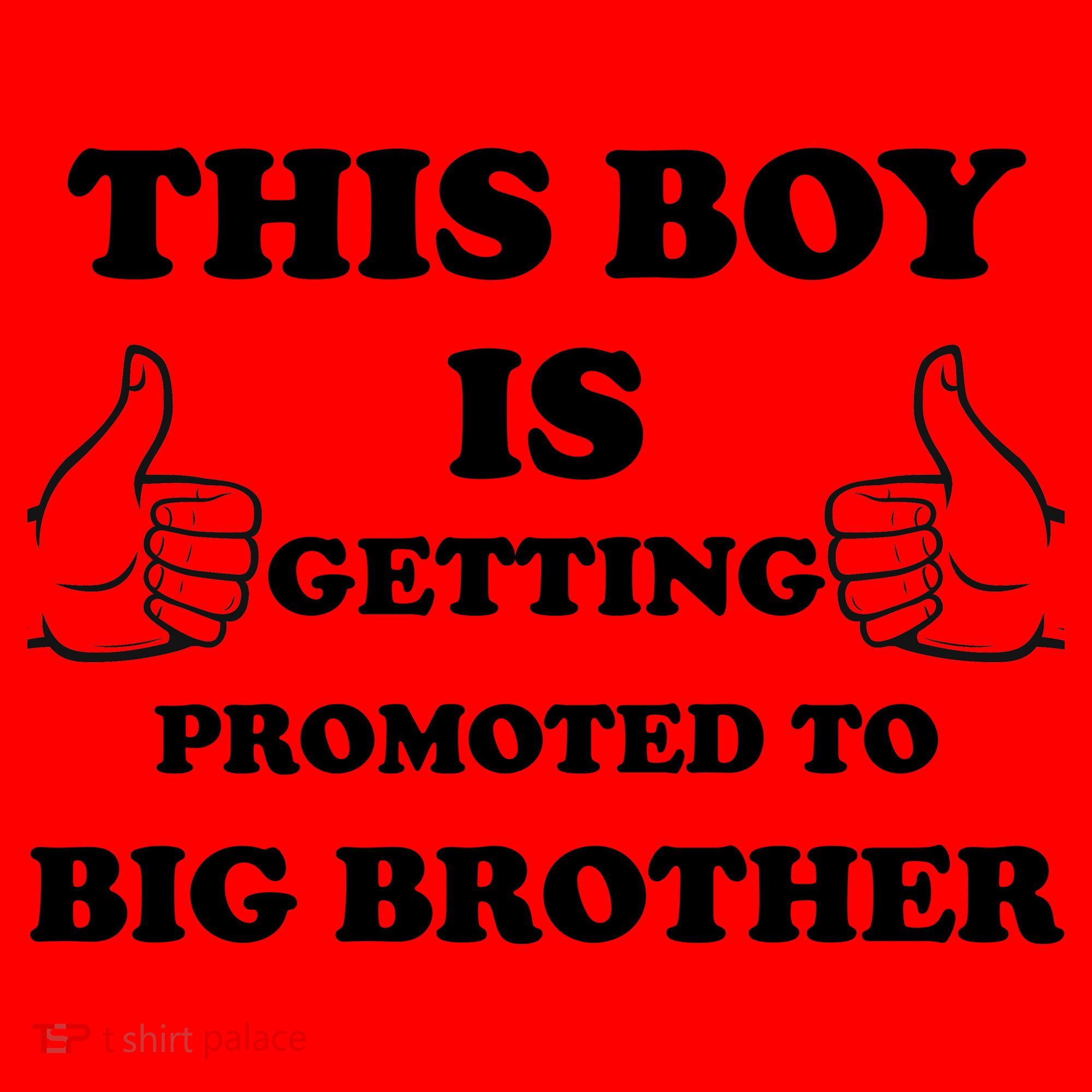 Promoted To Big Brother Santa Hat