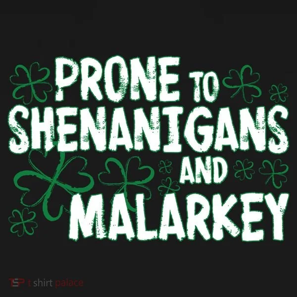 Prone To Shenanigans And Malarkey Kids Hoodie