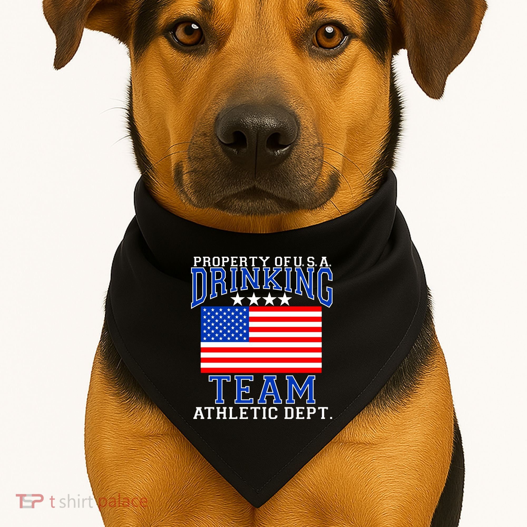 Property of U.S.A. Drinking Team USA-Made Doggie Bandana