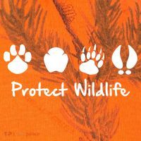 Protect Wildlife Kati Licensed 12" Camo Cuffed Beanie thumb 2