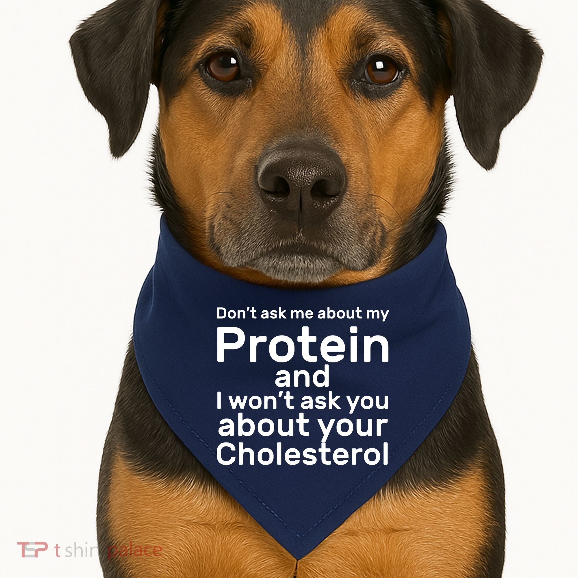 Protein Cholesterol Workout USA-Made Doggie Bandana