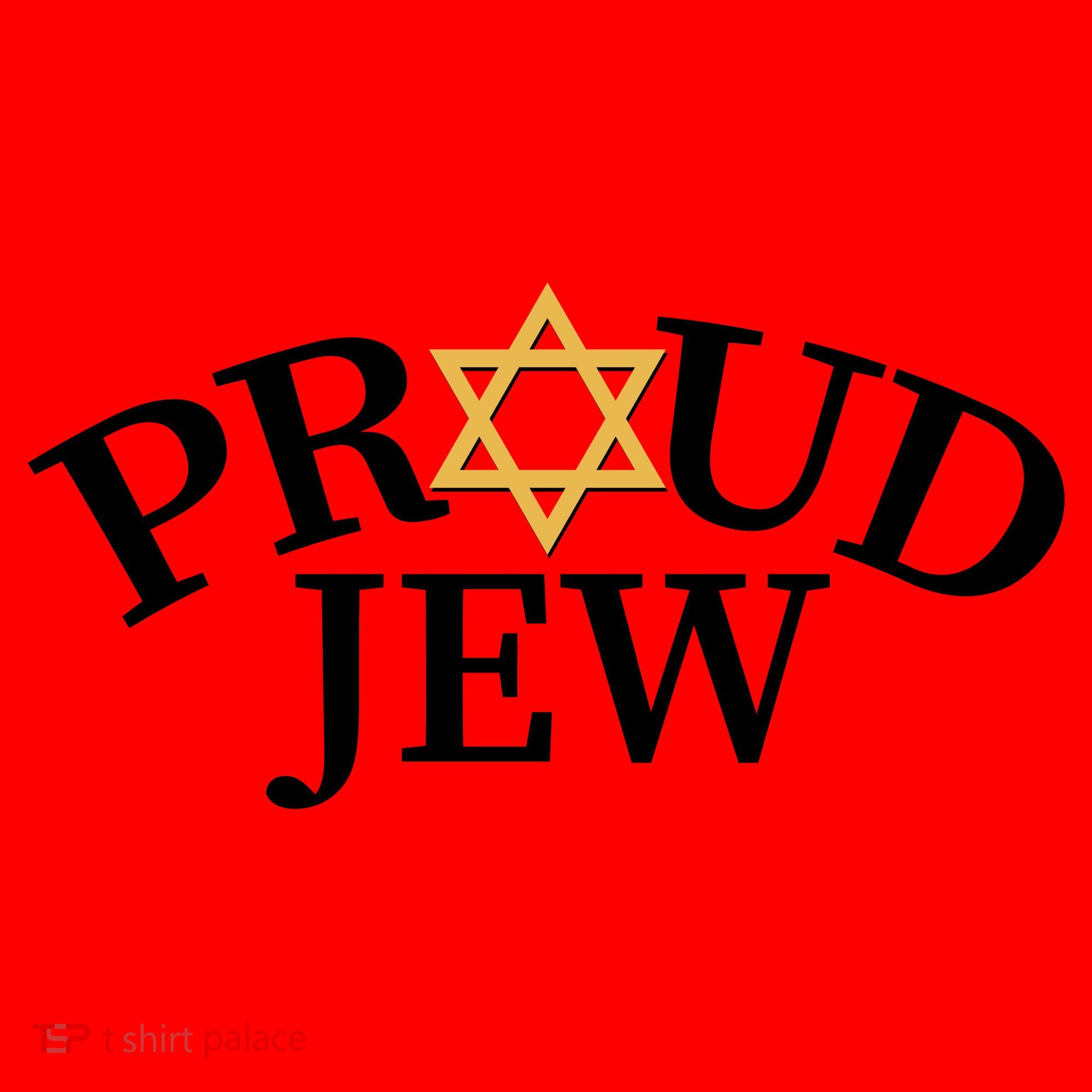 Proud Jew Jewish Star Logo Santa Hat