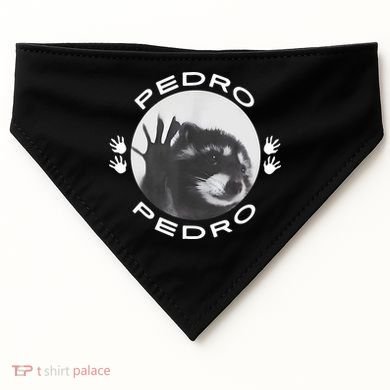 Pedro Raccoon USA-Made Doggie Bandana