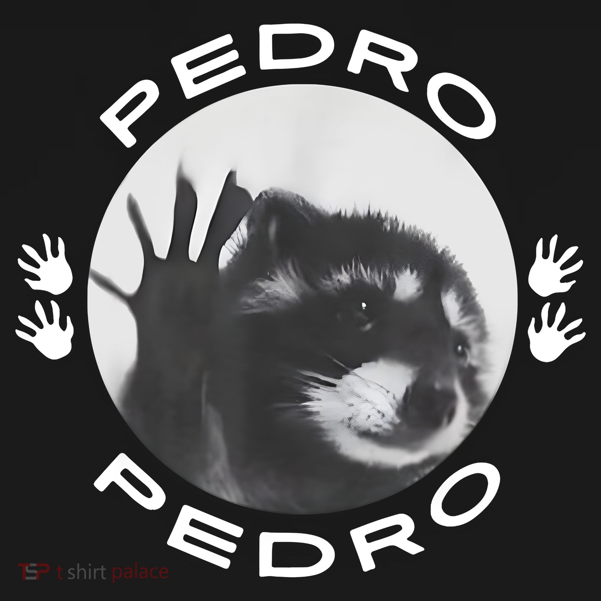 Pedro Raccoon USA-Made Doggie Bandana