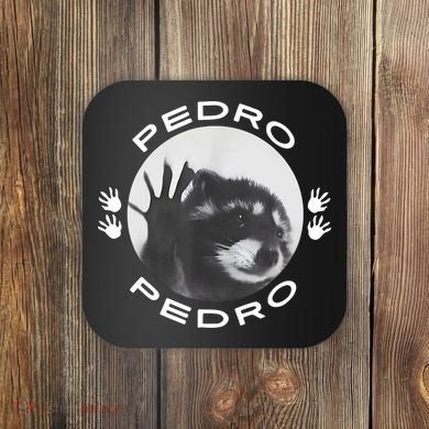 Pedro Raccoon Coaster