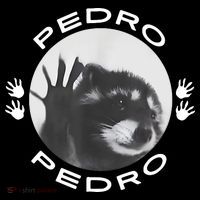 Pedro Raccoon Women's Tank Top thumb 5