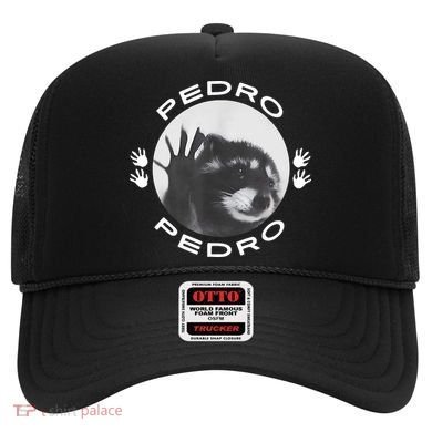 Pedro Raccoon Hat