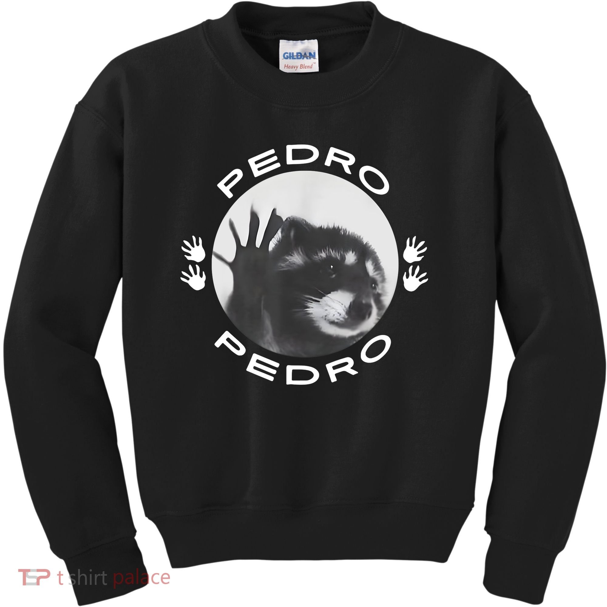 Pedro Raccoon Kids Sweatshirt