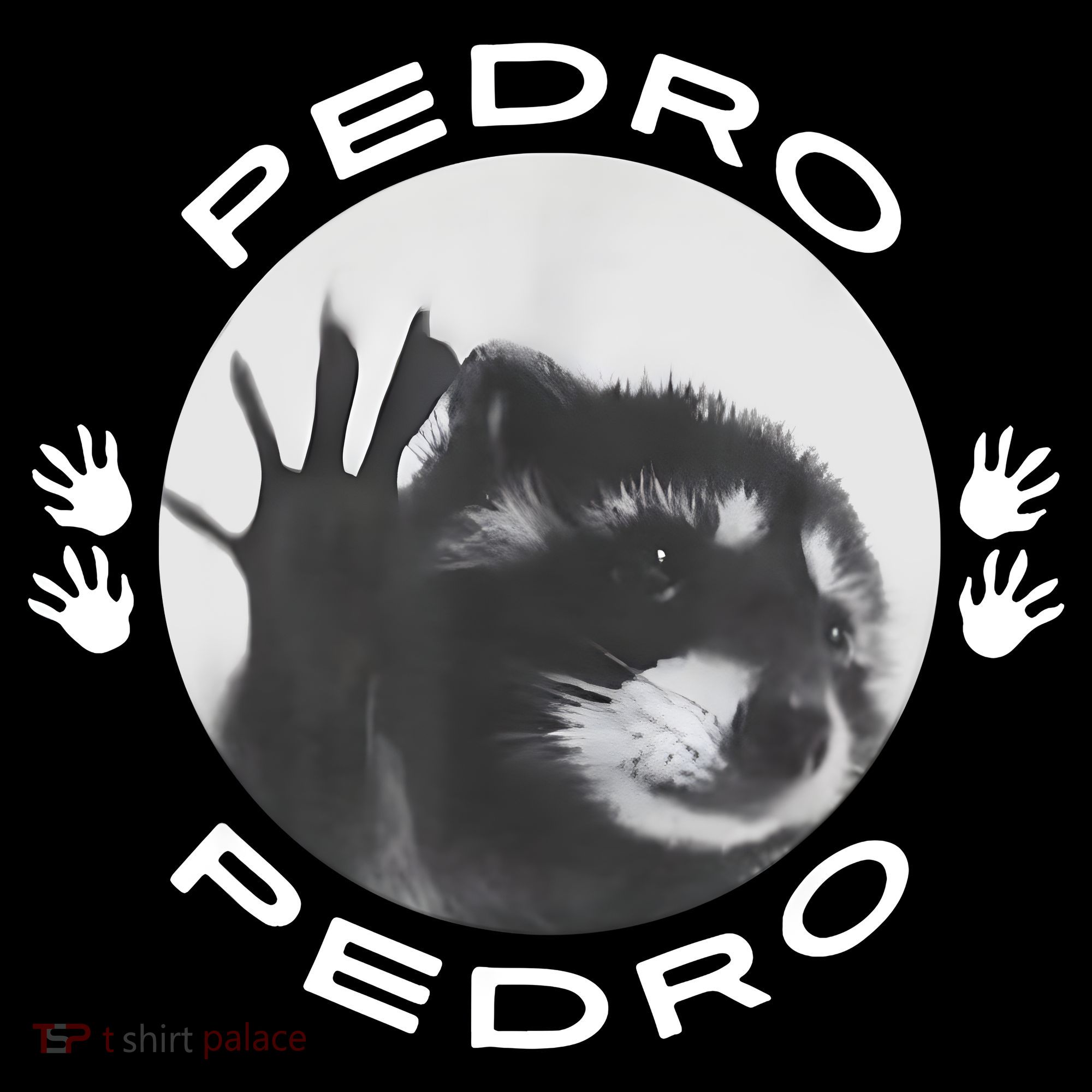 Pedro Raccoon Kids T-Shirt