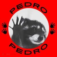 Pedro Raccoon Santa Hat thumb 1