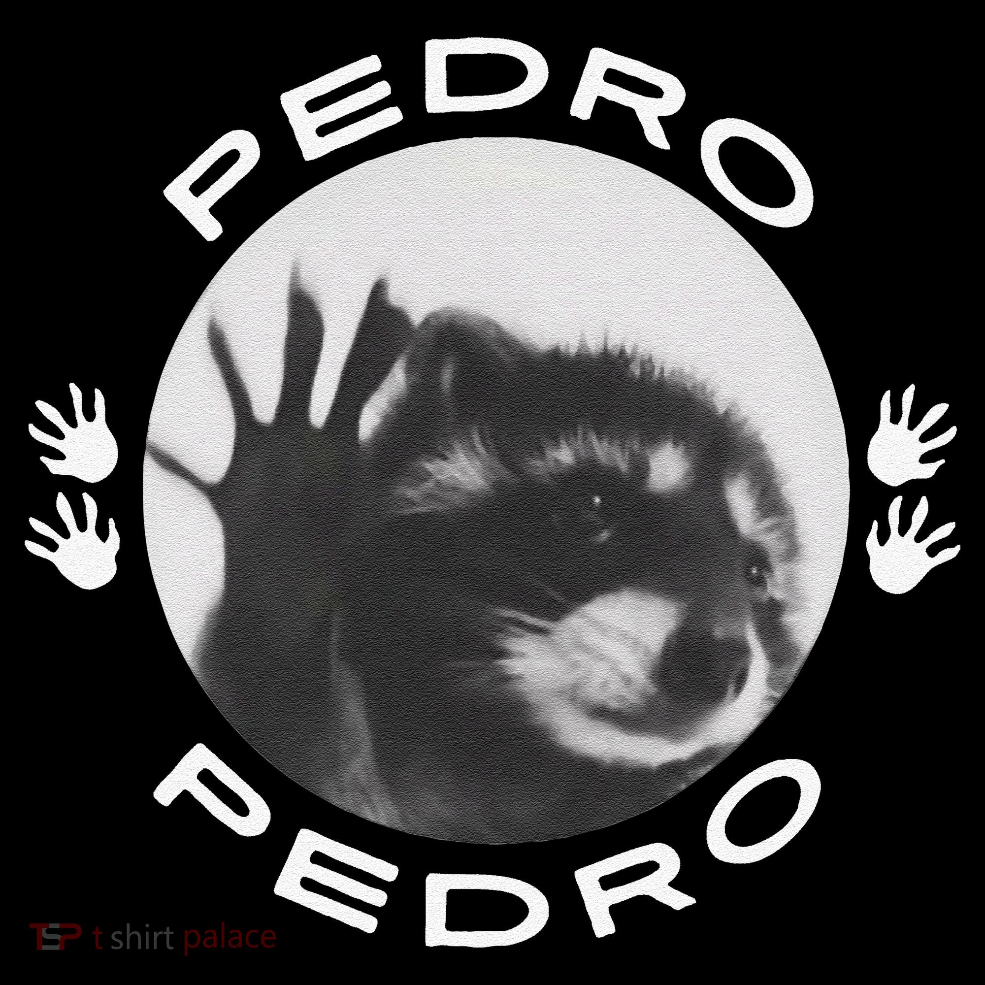 Pedro Raccoon Coffee Mug