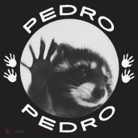 Pedro Raccoon Tumbler thumb 3