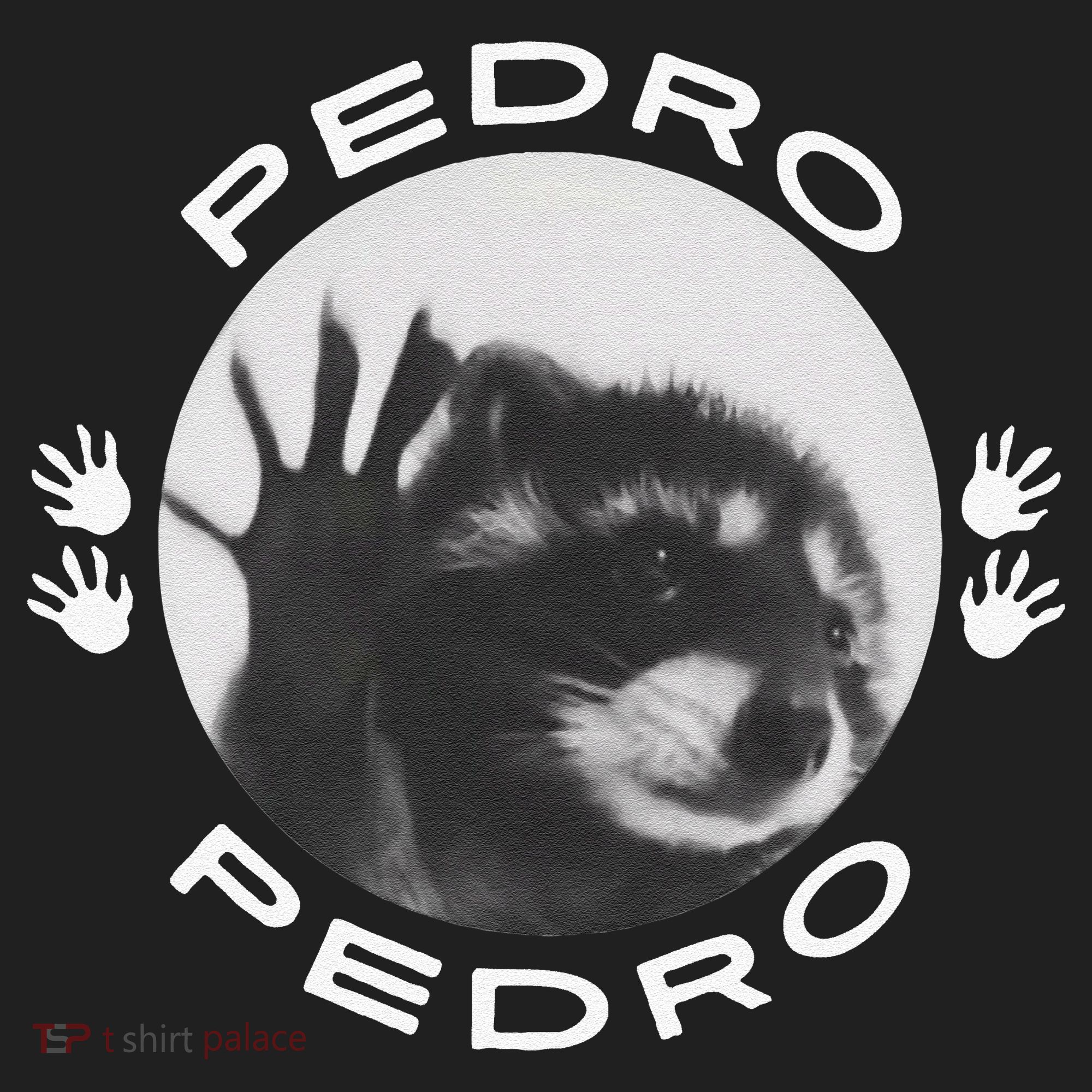 Pedro Raccoon Tumbler