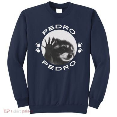 Pedro Raccoon Sweatshirt