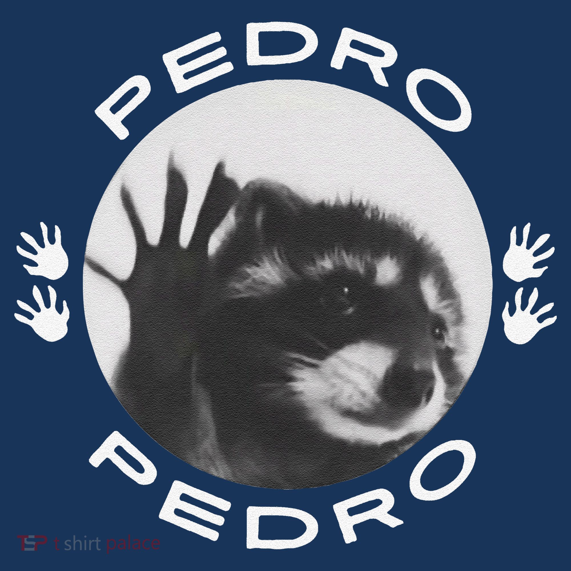 Pedro Raccoon Button