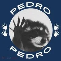 Pedro Raccoon Beanie thumb 2