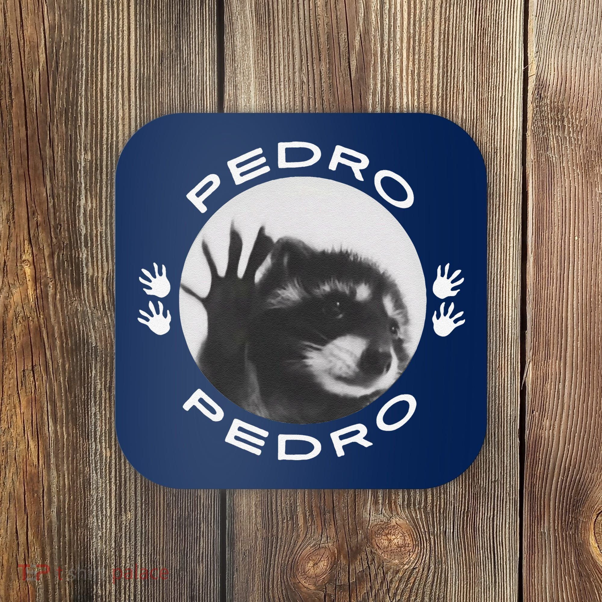 Pedro Raccoon Coaster