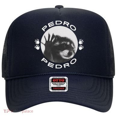 Pedro Raccoon Hat