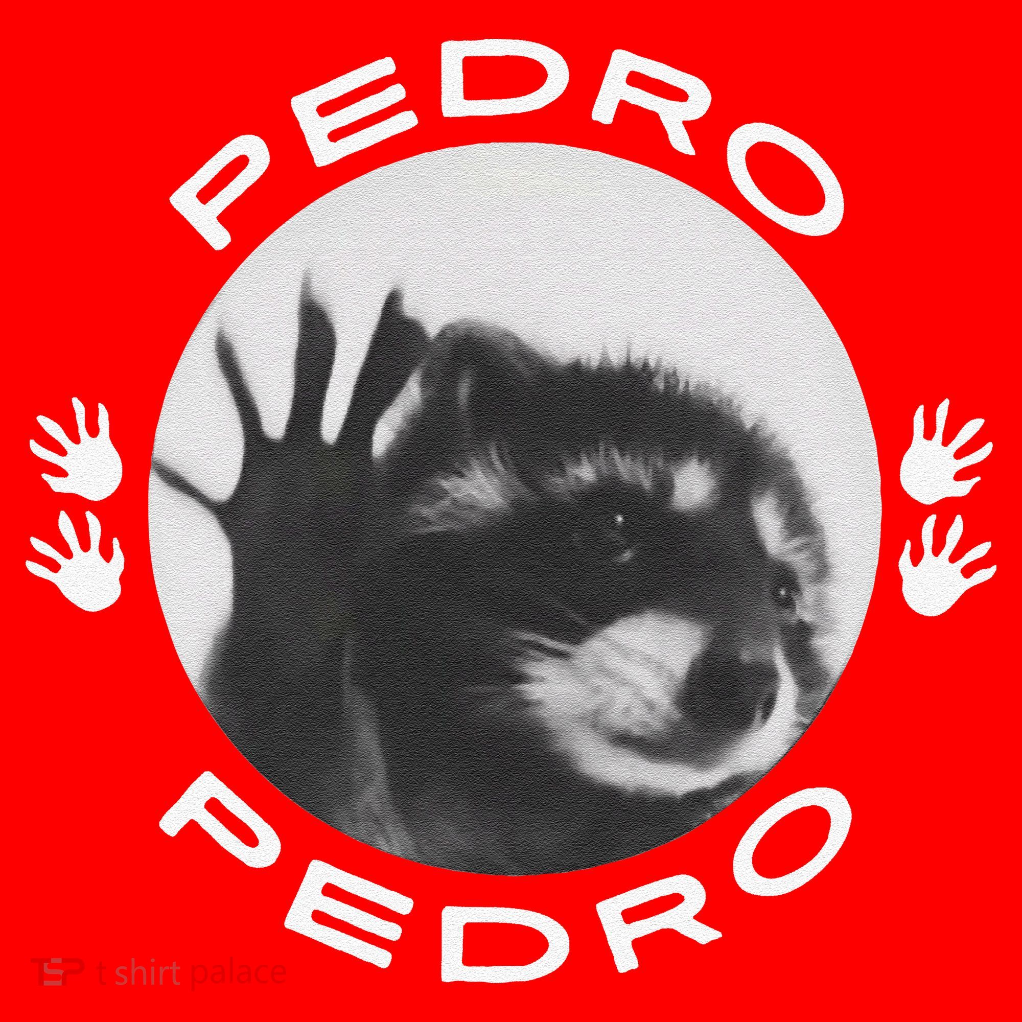 Pedro Raccoon Santa Hat