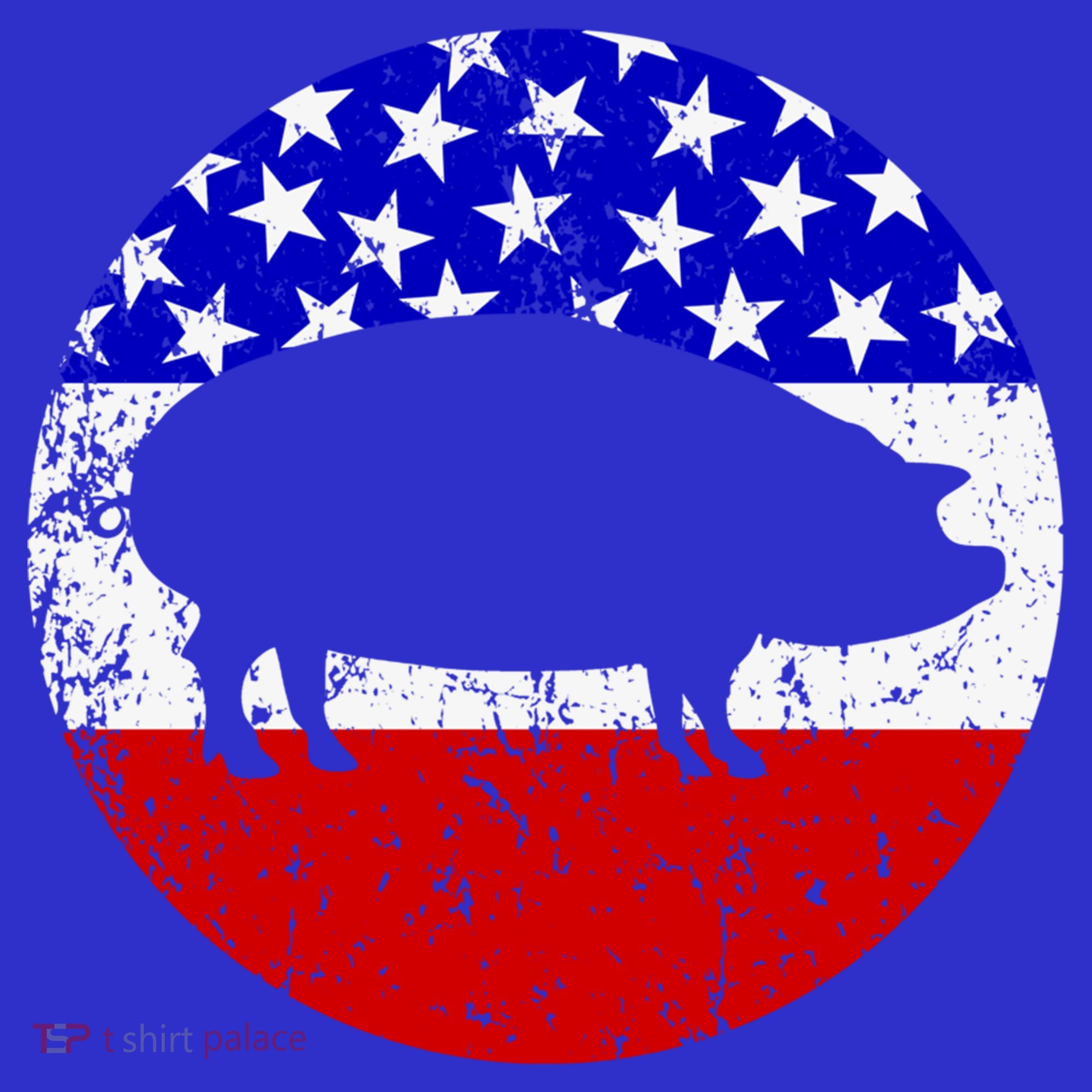 Pig Roast Retro Style Bbq Cookout American Flag Cute Gift Women's Tank Top