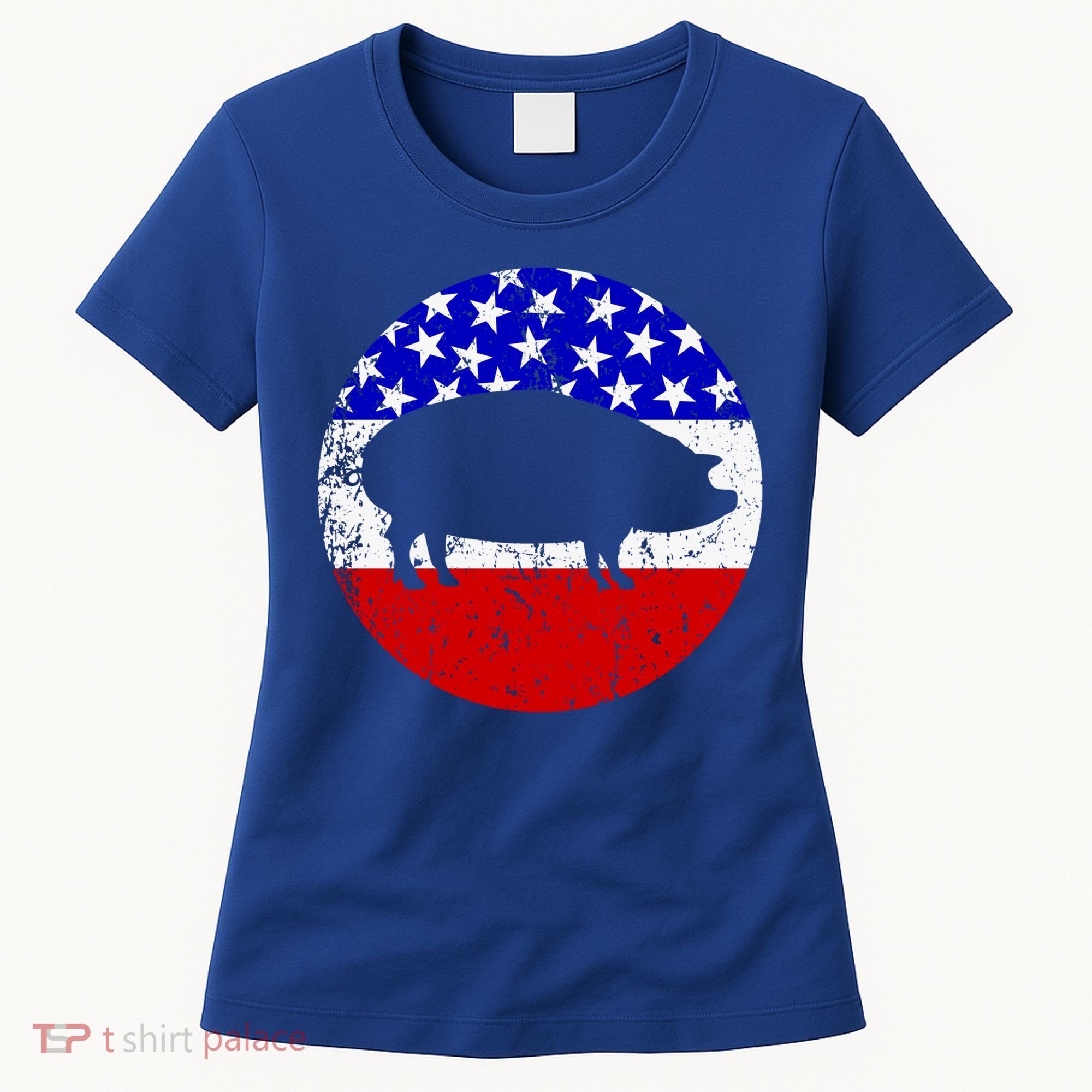 Pig Roast Retro Style Bbq Cookout American Flag Cute Gift Women's T-Shirt