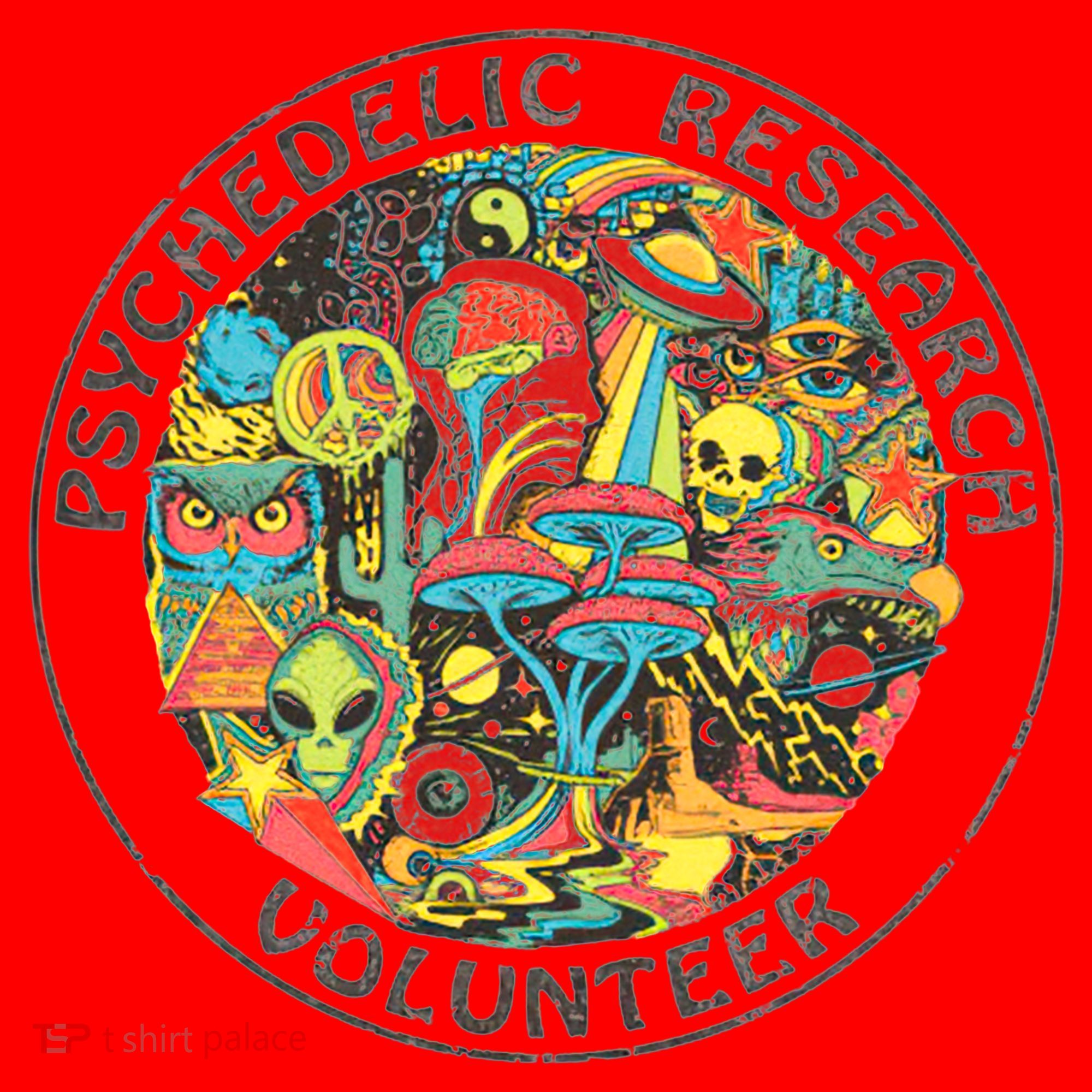 Psychedelic Research Volunteer Santa Hat