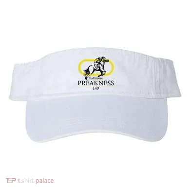 Visor