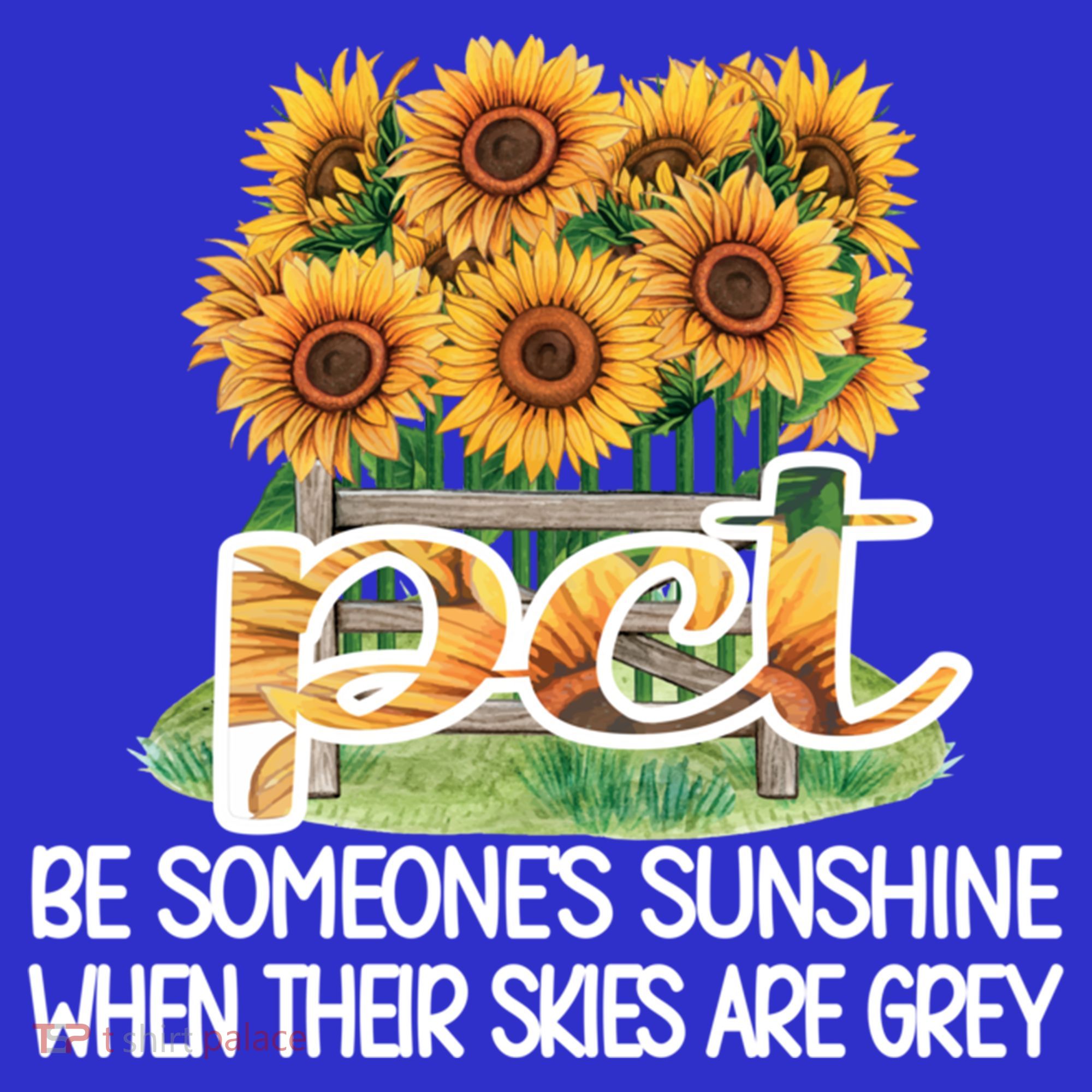 Pct Sunflower Best Patient Care Tech Cool Gift Visor
