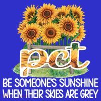 Pct Sunflower Best Patient Care Tech Cool Gift Kids T-Shirt thumb 4